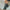 https://cdn.shopify.com/s/files/1/0906/5821/0177/files/Schwarz_Leder_2.jpg?v=1757450862